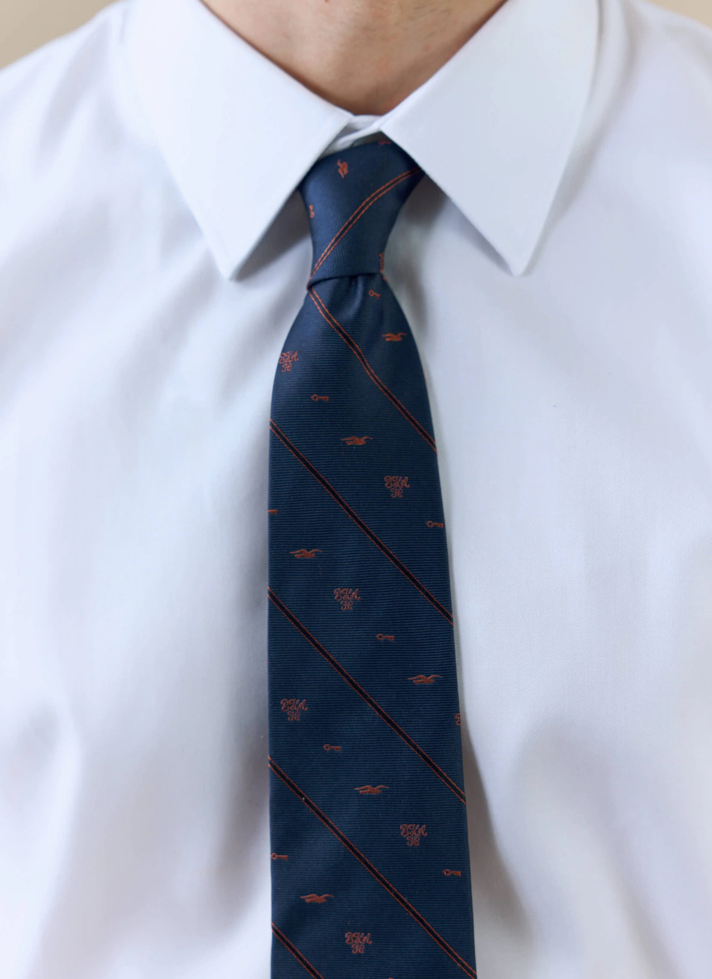 4011-jacquard-stripe-silk-tie-brighton-hove-albion-f.c.-x-percival-navy-3.webp Jacquard Stripe Silk Tie | Brighton & Hove Albion F.C. x Percival | Navy